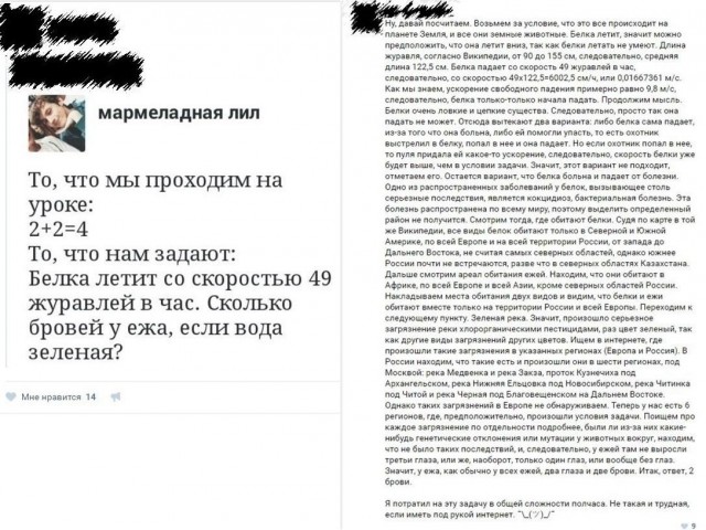 Бредзона 20.01.2021