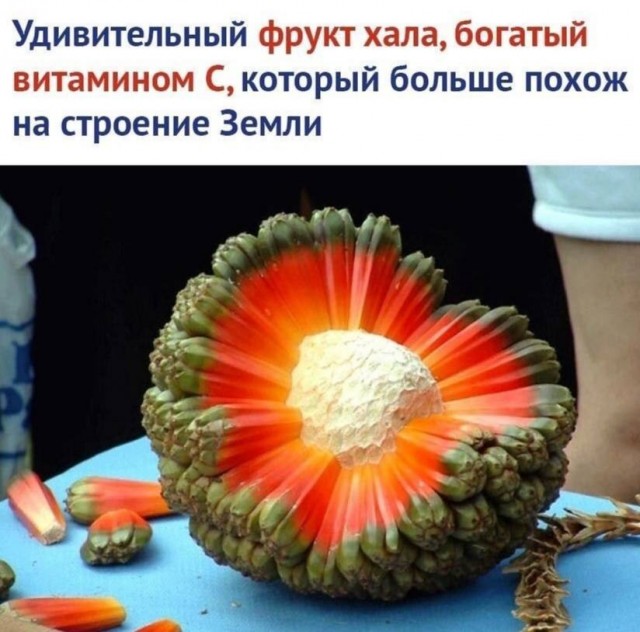 Веселые картинки отовсюду 23.02.21