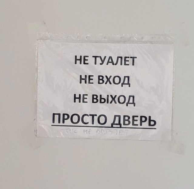 Шедевры поэзии от людей, которых муза подстерегает буквально на каждом шагу