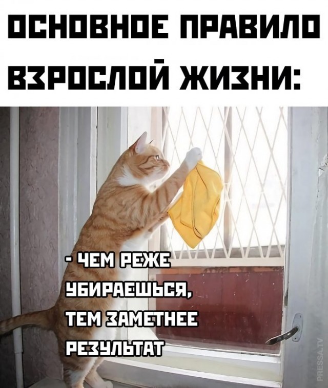 Картинки и мемы для настроения 023