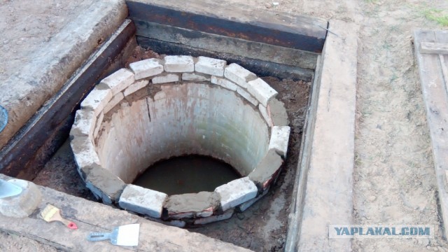 Психанул. Дачный сортир «king size»