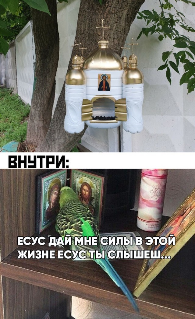 Весёлый полтишок 4.05