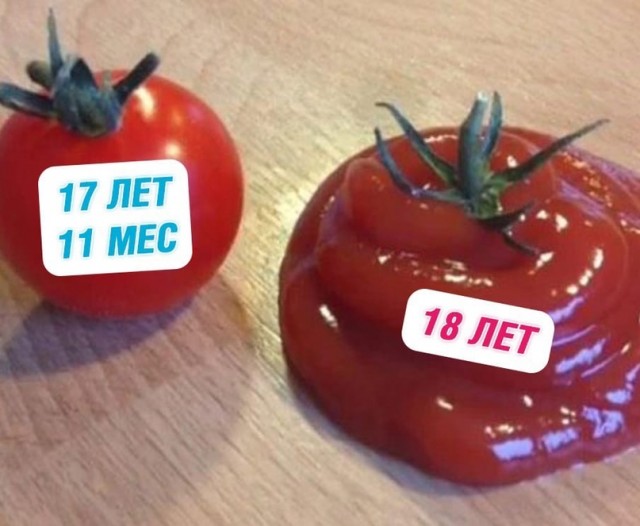 Весёлый полтишок 27.05
