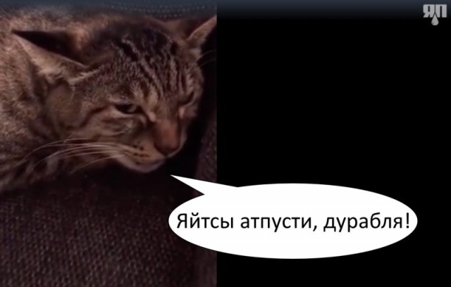 Эволюция