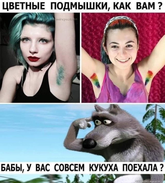 Весёлый полтишок 03.10