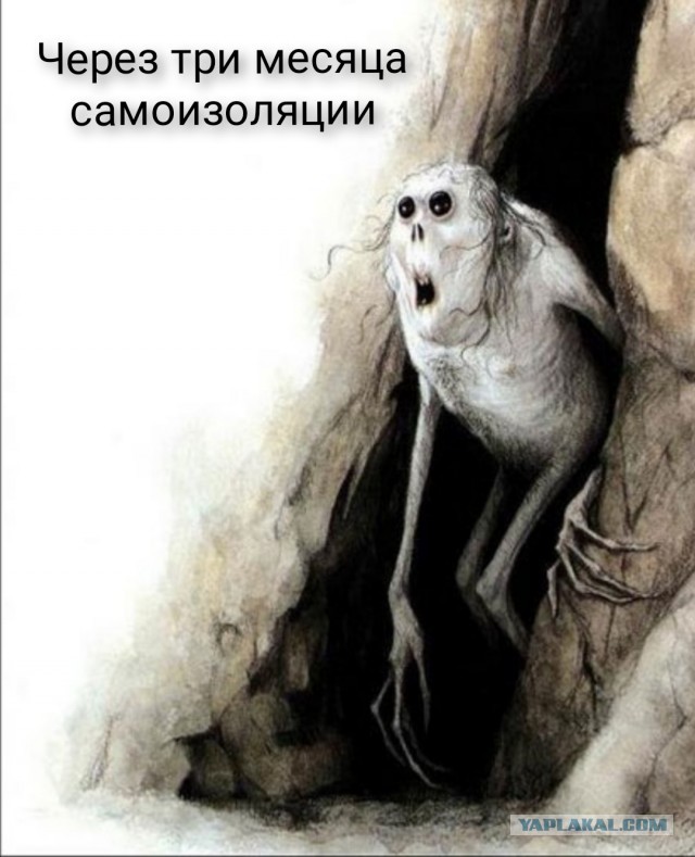 Истерия - продолжение. Как введение QR-кодов превратило жизнь сотрудников кафе и ресторанов в ад