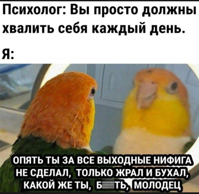 Всяческие картинки 10.12.2021