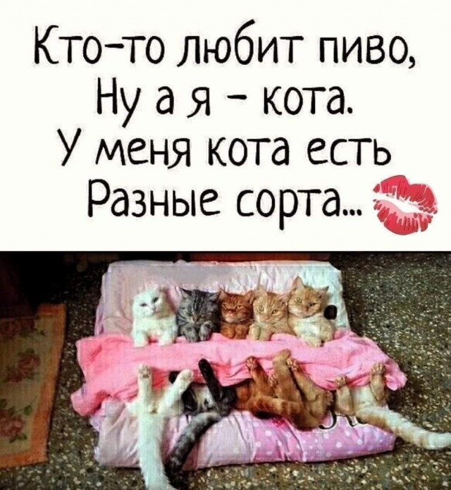 Всяческие картинки 29.12.2021