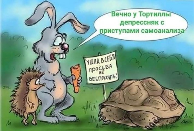 Баянисто-небаянистый юмор 11.01.22