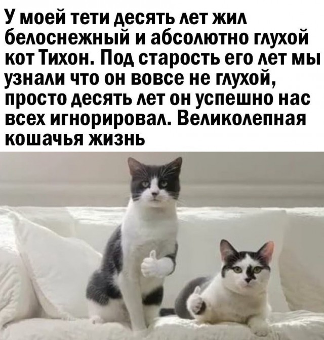 Так себе картинки 23.03.22