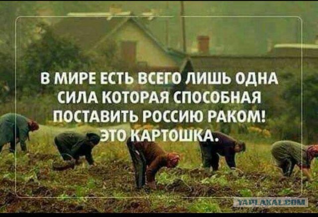 ЦБ продолжает гадить российской экономике