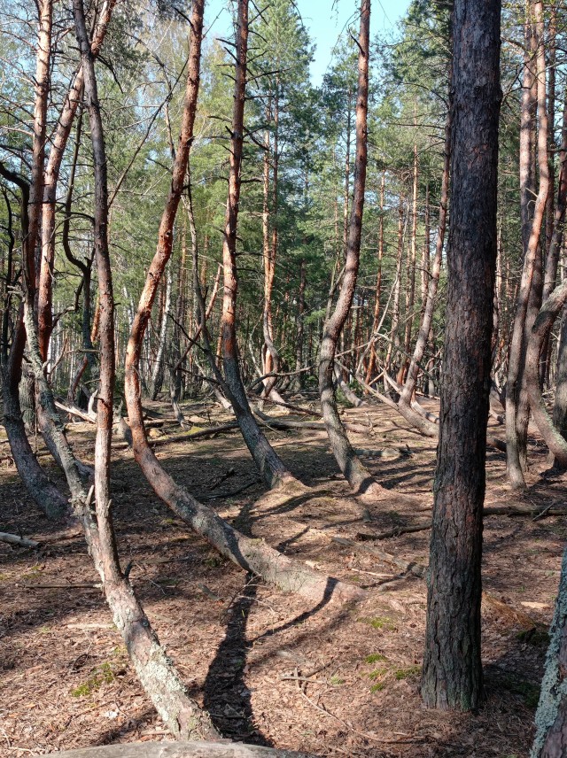 Доброе утро, ЯПъ