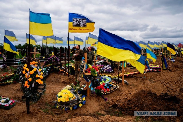 "Чрезвычайно важное" выступление Путина В.В. на ПМЭФ. Прямая трансляция