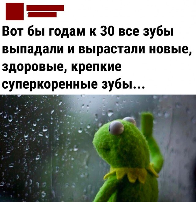 Так себе картинки 13.07.22
