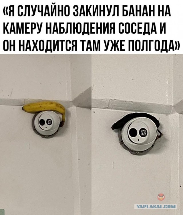 Так себе картинки 19.07.22