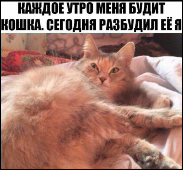 Вот и я пополнил ряды рабов...))
