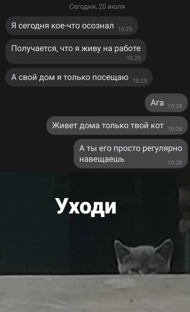 Юмор в картинках и без