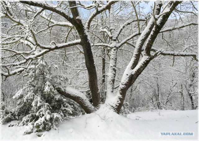 Крым. Терновка. Зимние дороги.
