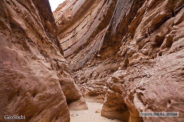 Синайские приключения. Шарм-эш-Шейх и окресности