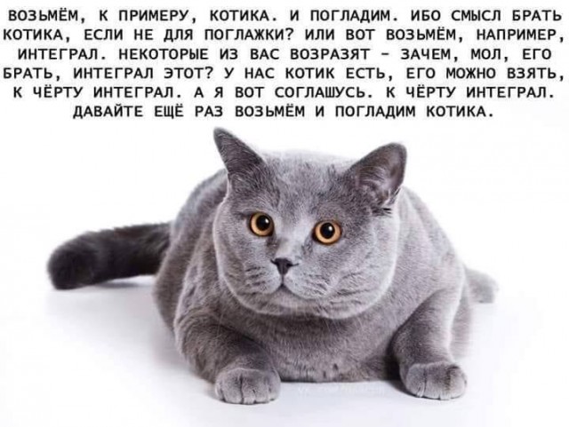 Картинки и мемы для настроения - 119