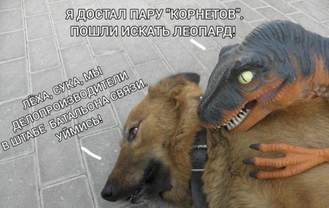Подарок Путина военным