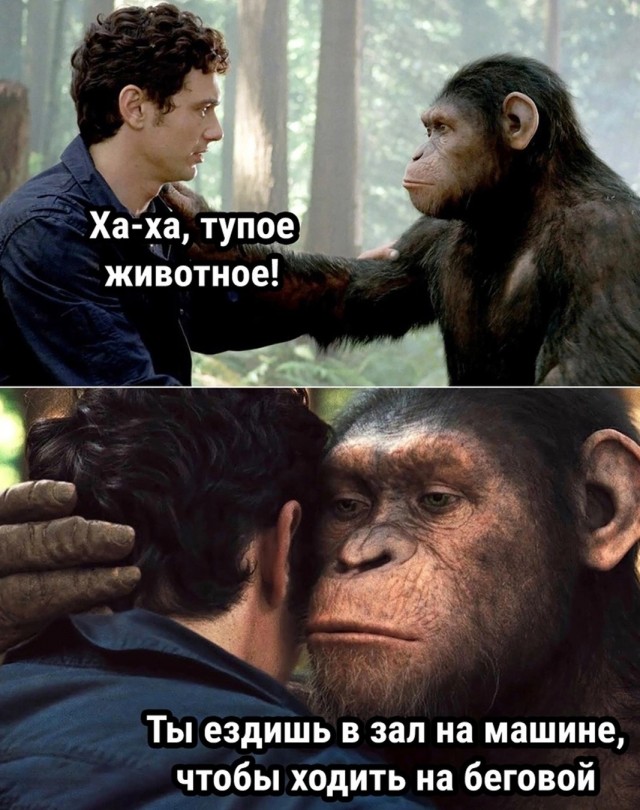 Так себе картинки 24.11.23