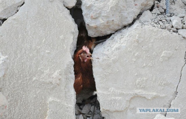 Израильские ВВС нанесли удар по Сирии