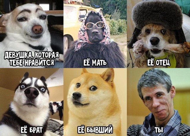 Завалялось тут случайно немного забавных картинок