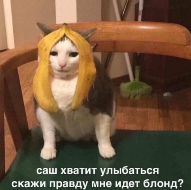 Никакие картинки