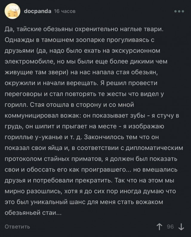 Нуштош 13.06.2024