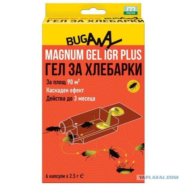 Борьба с тараканами