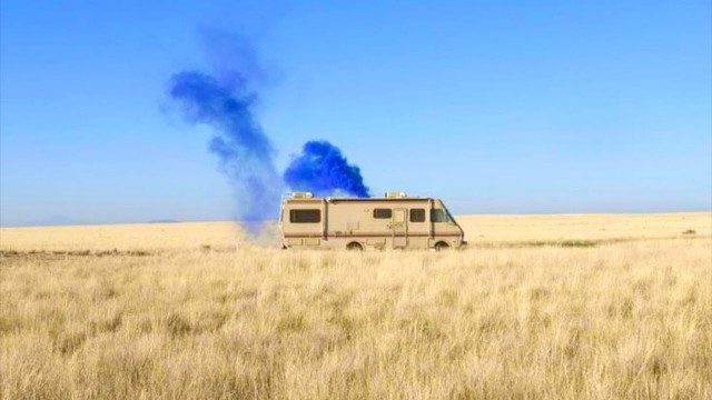 Немного свежих кактусов вам. Дорожные фото-2