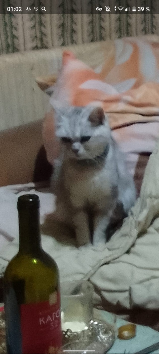Кто что читает, товарищи?