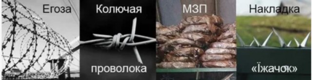 В лесах Подмосковья появились ловушки для мотогонщиков