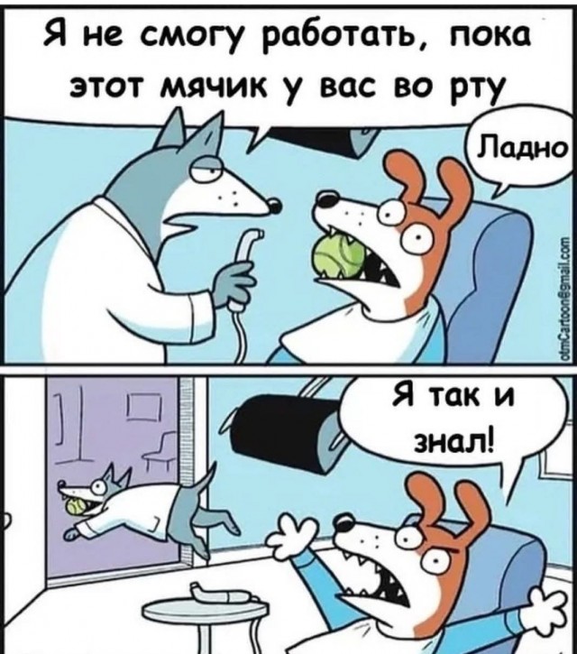 Маленькая пятница 12.02.25
