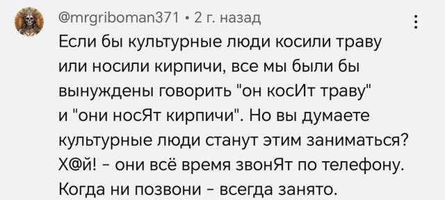 ЗвОнит или звонИт: придется привыкать к новому звучанию слова - в слове «звонит» изменят ударение