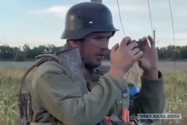 «Журавли» с полей СВО