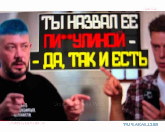 166 доносов Мизулиной.