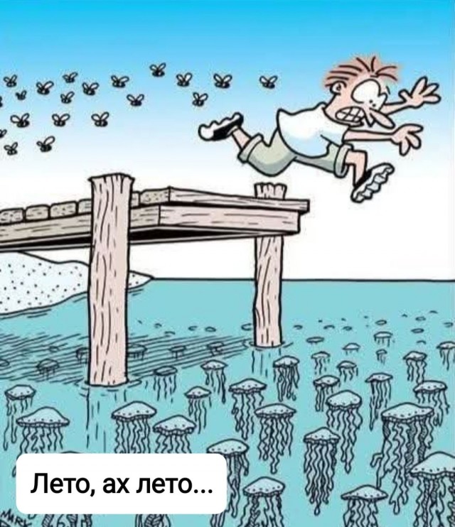 Маленькая пятница 25.06