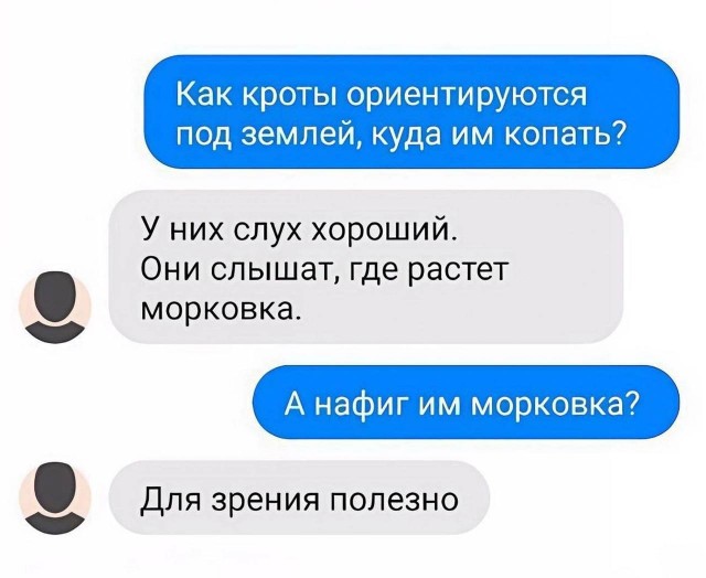 Картинки для деградации (разной степени свежести)