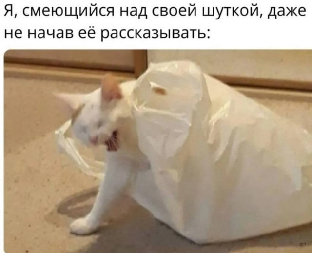 Веселые картинки в понедельник (04.08)