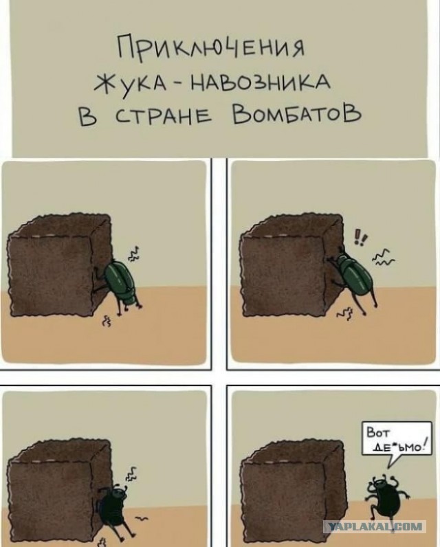 Литературный конкурс "КОКОС" 2025