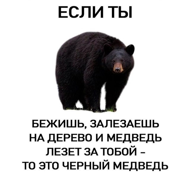 Так себе картинки 07.09.25