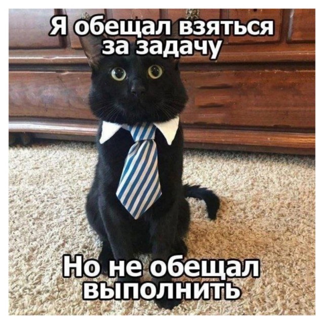 Картинки для деградации 44 (разной степени свежести)
