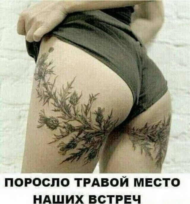 Веселые картинки в понедельник (13.10)