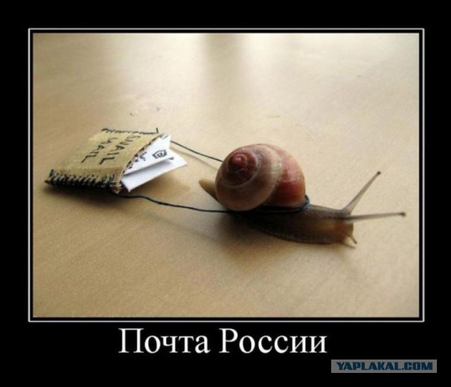 Ищите свои плюсы