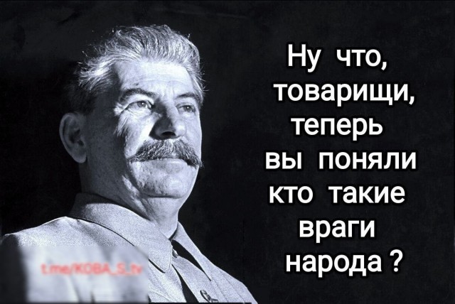 Главврачом медицинского центра во Владимире назначен 26-летний мигрант-таджик без медицинского образования и опыта работы