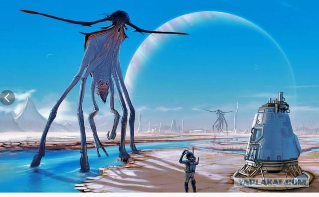 Мисс Вселенная 2025