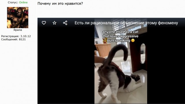 Есть ли рациональное объяснение этому феномену