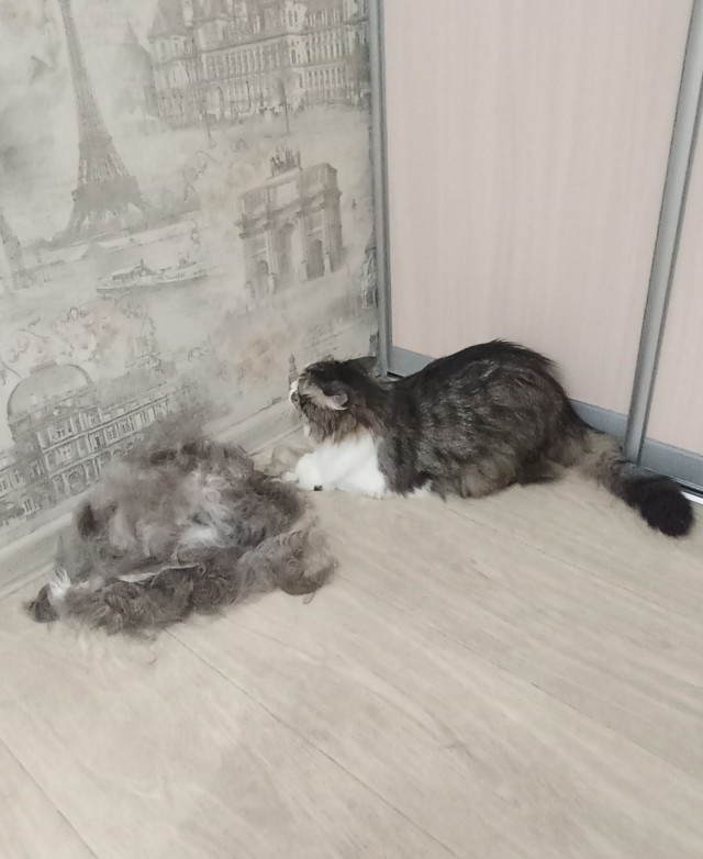 Вторникотовое